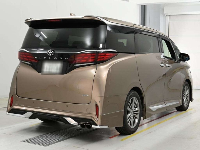 TOYOTA ALPHARD AAH40W Z GOLD 2