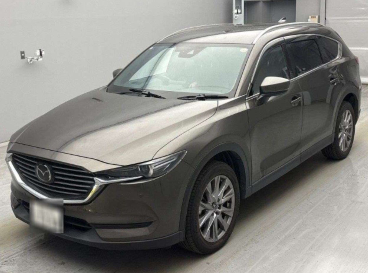 Mazda CX-8 XD Proactive 4WD (KG2P)